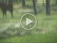 Untitled Clip 01 44